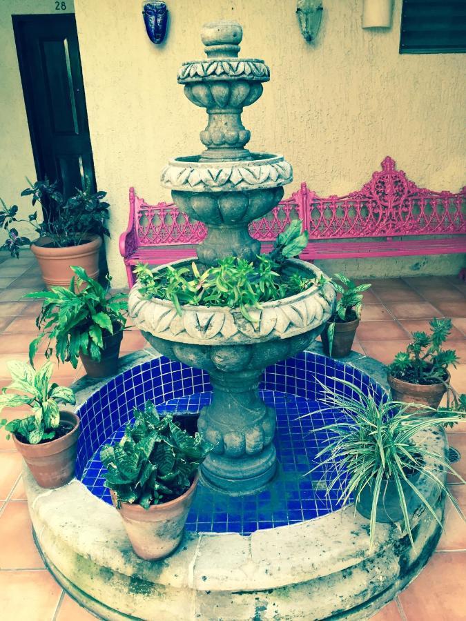 Hotel Villa Del Sol Expo Guadalajara Zewnętrze zdjęcie